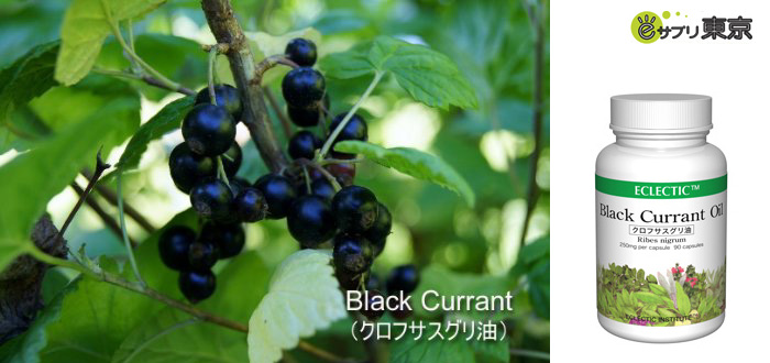 エクレクティック研究所のオーガニックハーブサプリメント