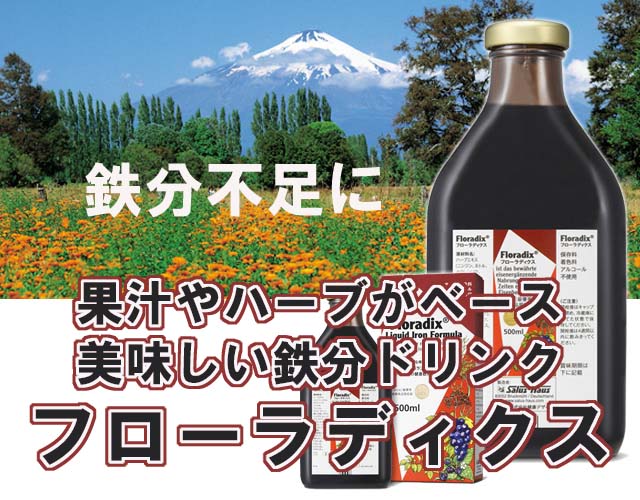 【送料無料】鉄分豊富な果汁やオーガニック・ハーブがベースのドイツ生まれの鉄分ドリンク!鉄分は「ノン・ヘム鉄」で安全で胃にも優しく、飲みやすい液体サプリメント【フローラディクス Floradix/サルス・ハウス(ドイツ)】