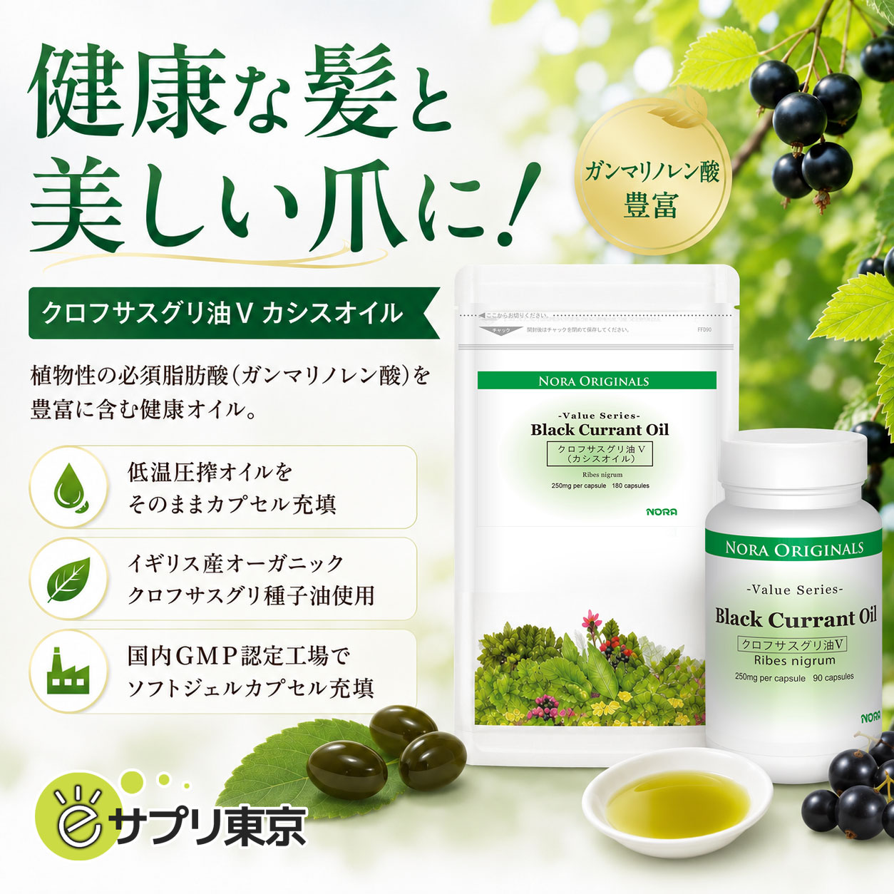 健康な髪と美しい爪にクロフサスグリ油V！