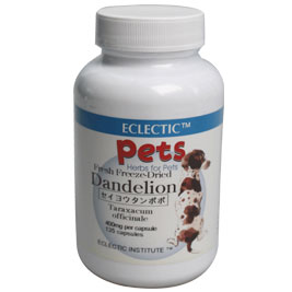 ペット用 セイヨウタンポポ FFD135  ダンデライオン Dandelion エクレクティック For Pets